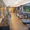 Отель Tapatio Springs Hill Country Resort, фото 17