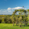 Отель Fattoria la Loggia, фото 12