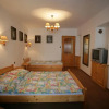 Отель Penzion Hana Sladová, фото 5