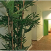 Отель Hostel City Bed 2, фото 14