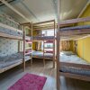 Гостиница Crazy Monkey Hostel next to the Moscow Zoo, фото 5