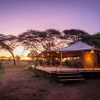 Отель Baobab Tented Camp, фото 1