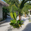 Отель Blue World Dharavandhoo, фото 10