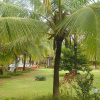 Отель Leisure Vacations Tarang Resort, Karwar, фото 3