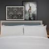 Отель The Queens Hotel, фото 4