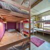 Гостиница Crazy Monkey Hostel next to the Moscow Zoo, фото 4