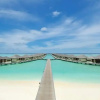 Отель The Haven At Paradise Island, фото 6