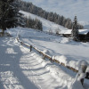 Отель Neuhauserhof, фото 13
