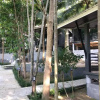Отель Rin Beach Resort, фото 25