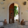Отель Villa Scorzi, фото 27