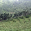 Отель Awara Camps & Retreats, фото 10