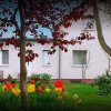 Отель Pension Breitenfeldt Berlin, фото 2