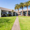 Отель Campus Summer Stays - Massey Manawatu Halls, фото 12