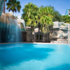 Отель Delta Hotels by Marriott Orlando Celebration, фото 18