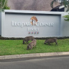 Отель Leopard Corner Lodge, фото 1