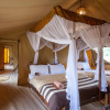 Отель Baobab Tented Camp, фото 11