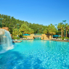Отель Walt Disney World Swan And Dolphin Resort, фото 37