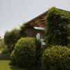 Отель Minos Palace Resort - Adults Only, фото 22