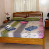 Отель D&B Bluestar Beach Resort, фото 2