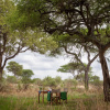 Отель Baobab Tented Camp, фото 35