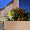 Отель Best Western Plus Suites Hotel - Los Angeles LAX Airport, фото 23