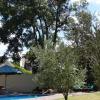 Отель Helderview Hotel and Suites, фото 9