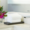 Отель Hyatt Regency Atlanta Perimeter at Villa Christina, фото 11