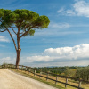 Отель Fattoria la Loggia, фото 15
