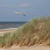 Отель Two Brothers Noordwijk Beach, фото 35