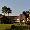 Отель Mweya Safari Lodge, фото 15