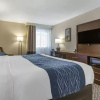 Отель Comfort Inn at Buffalo Bill Village Resort, фото 7
