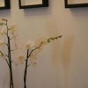 Отель Bed and Breakfast Sablon-Aire Suite, фото 3