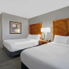 Отель Embassy Suites by Hilton Detroit Livonia Novi, фото 11