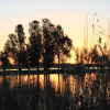 Отель Motel Yarrawonga, фото 12