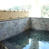 Отель Hakuba Century Hotel, фото 8