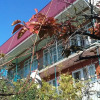 Гостиница Zhasmin Guest House, фото 10