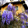 Отель Country House La Locanda del Borgo, фото 14