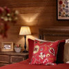 Отель Gstaad Palace, фото 6