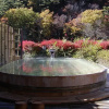 Отель Nishiyama Onsen Keiunkan, фото 6