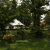 Отель Ilan-Ilan Trails & Lodge, фото 8