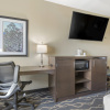 Отель Best Western Plus Fort Stockton Hotel, фото 13