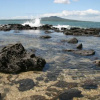 Отель Takapuna Beach Holiday Park, фото 7