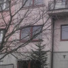 Отель Minihotel Vitex, фото 1