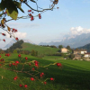 Отель Schiestlhof, фото 8
