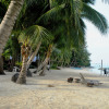 Отель Coral View Island Resort, фото 12