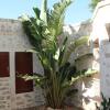 Отель Riad Dar Maris, фото 17