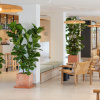 Отель Copaiba by Honne Hotels - Adults Only, фото 2