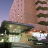 Отель Tokuyama Daiichi Hotel, фото 2
