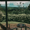 Отель Villa Blanca Cloud Forest Hotel + Retreat, фото 8