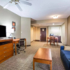 Отель Vista Suites Hotel Near Island Drive Pigeon Forge, фото 4